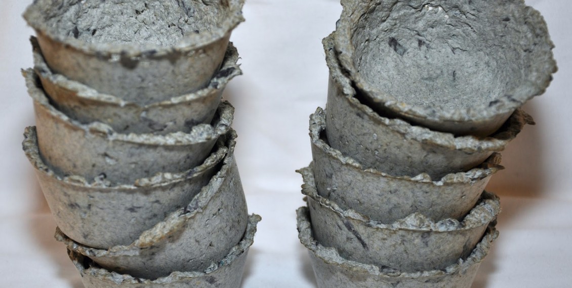 How To Make Seed Starters Out Of Paper Pulp Eco Snippets
