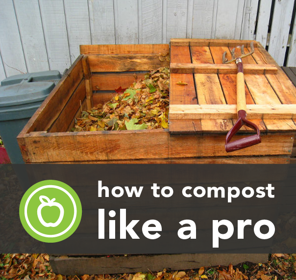 How To Make Your Own Compost Like A Pro Eco Snippets
