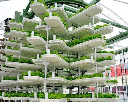 World’s Largest Aquaponics Project Unveiled In UAE | Eco Snippets