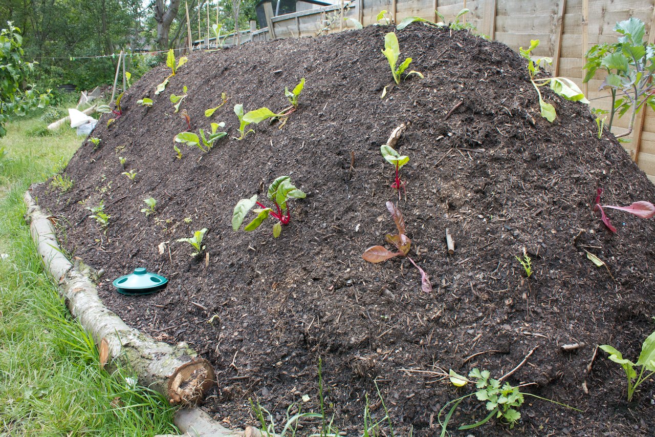 Hugelkultur On A MicroFarm Eco Snippets