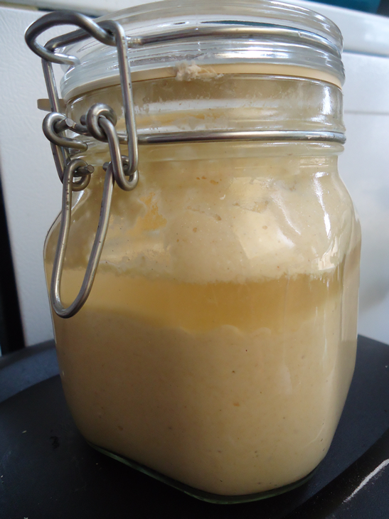 Collecting & Maintaining Wild Yeast Sourdough Starter Eco Snippets