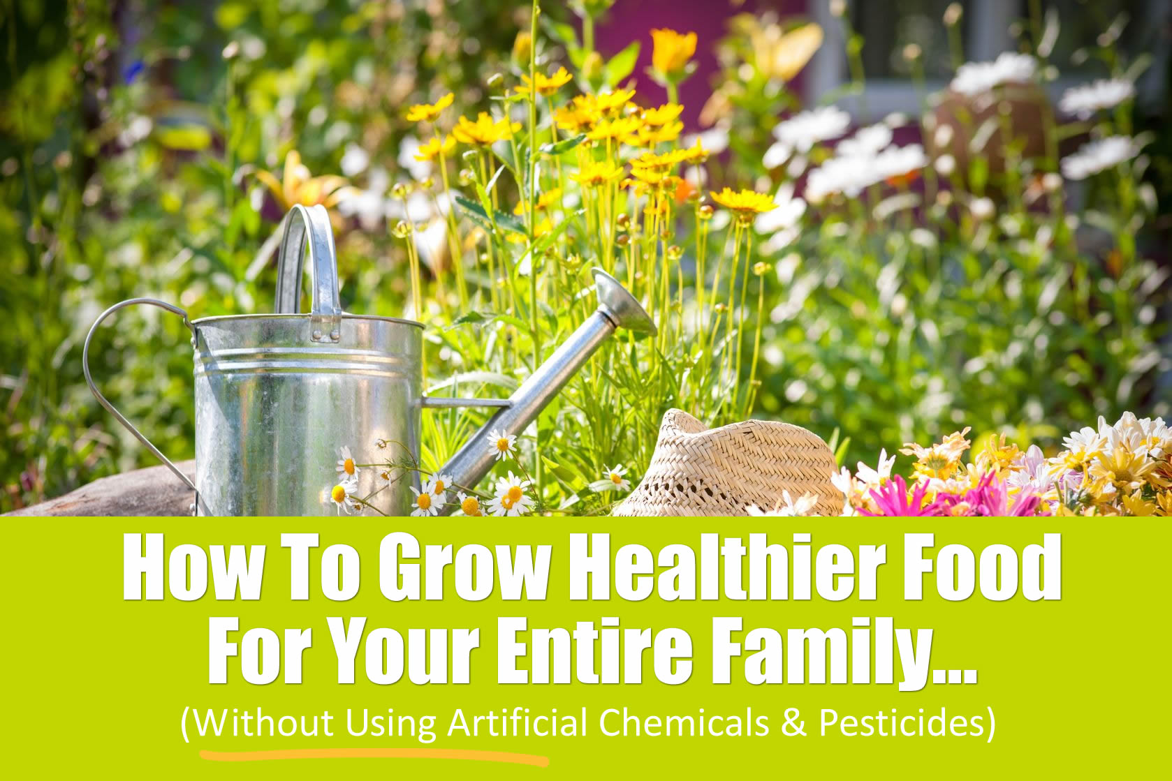 How To Grow Healthier Food For Your Entire Family… Eco Snippets