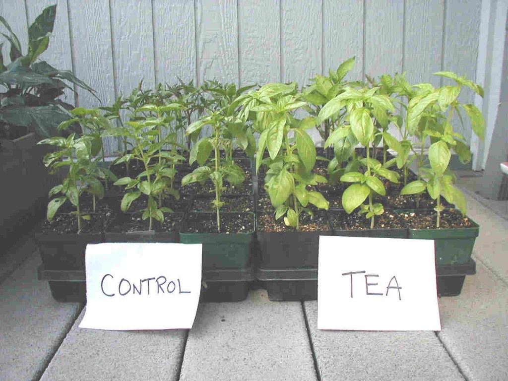 The Benefits Of Using Worm Tea On Your Plants...