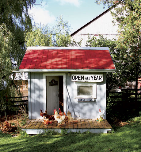 12 Unconventional But Very Stylish Chicken Coop Ideas...