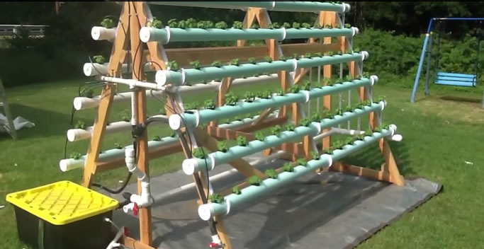 How To Grow 168 Plants In A 6 x 10 Area With A DIY Vertical A-Frame Hydroponic System...