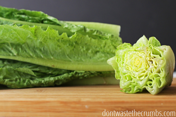 10 Foods That You Can Regrow From Scraps Using Nothing But Water…