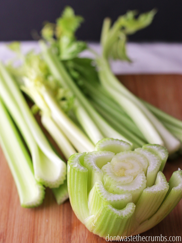 10 Foods That You Can Regrow From Scraps Using Nothing But Water…