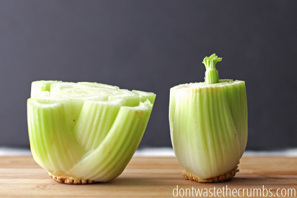 10 Foods That You Can Regrow From Scraps Using Nothing But Water…