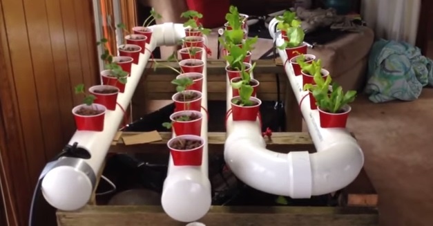 How To Build A Gravity-Based PVC Aquaponic Growing System...