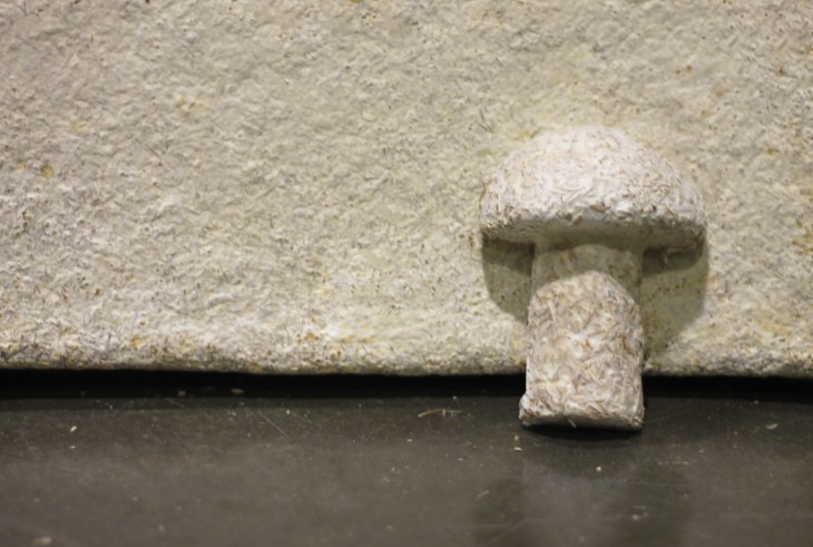 Ikea To Use Mushroom Based Packaging That Will Decompose In A Garden Within Weeks...