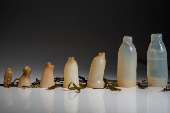 This Biodegradable Water Bottle Made From Algae Maintains It’s Shape Until It’s Empty & Then Breaks Down...