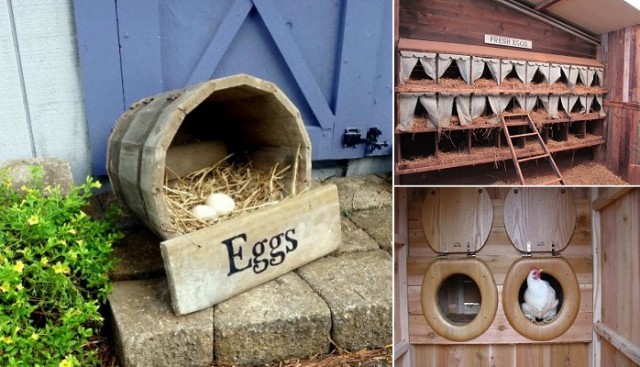 Top 10 Ideas For Chicken Nesting Boxes...
