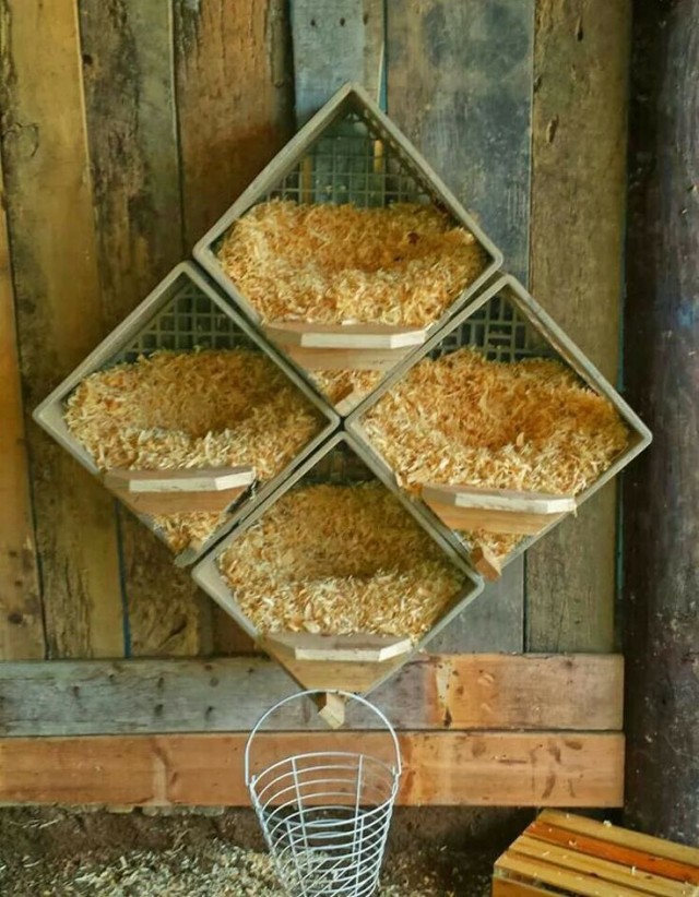Top 10 Ideas For Chicken Nesting Boxes...