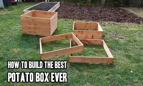 How To Build The Best Potato Box Ever...