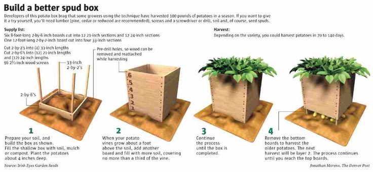 How To Build The Best Potato Box Ever...