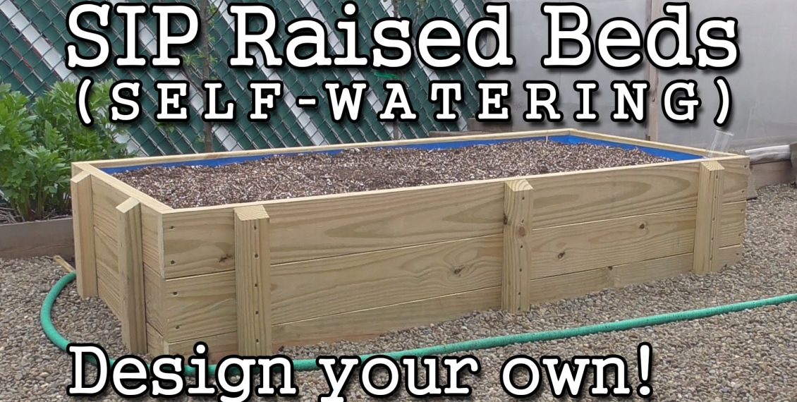 How To Build A Self-Watering Sub-Irrigated Raised Garden Bed… – Eco