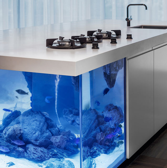 This Amazing Aquarium Brings The Ocean Into The Kitchen...