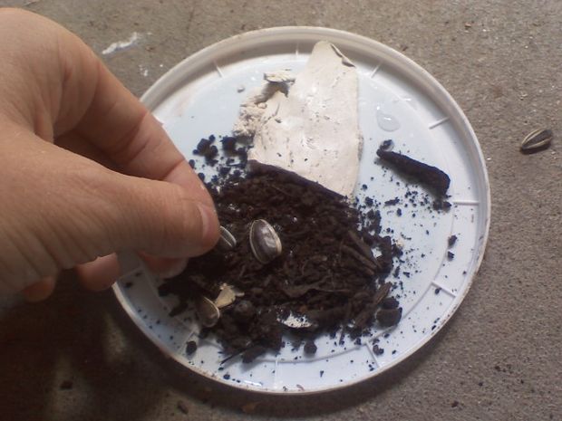 How To Make A Seed Bomb For Guerilla Gardening...