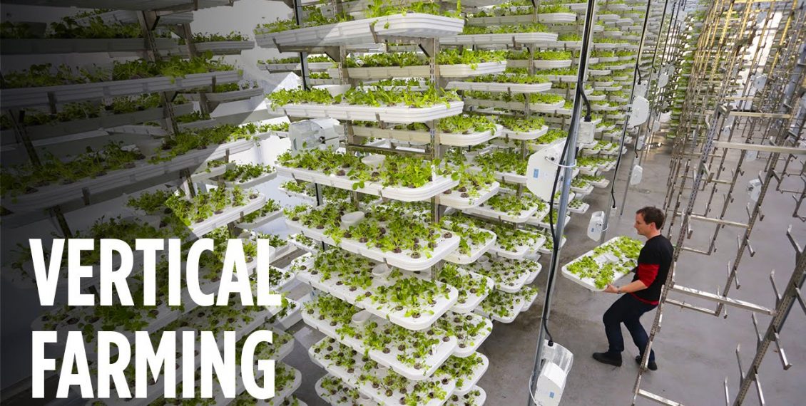 This Farm Of The Future Uses No Soil And 95% Less Water...