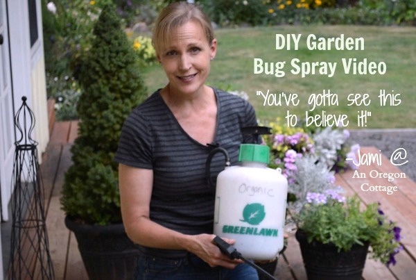 Homemade Garlic-Mint Garden Insect Spray That Really Works...