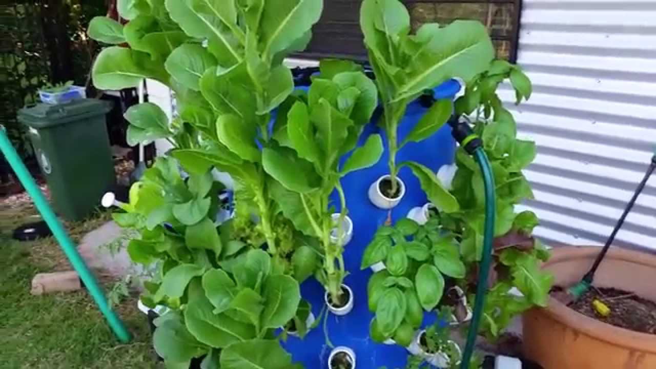 How To Build An Aeroponics Growing Tower For Vertical Gardening...