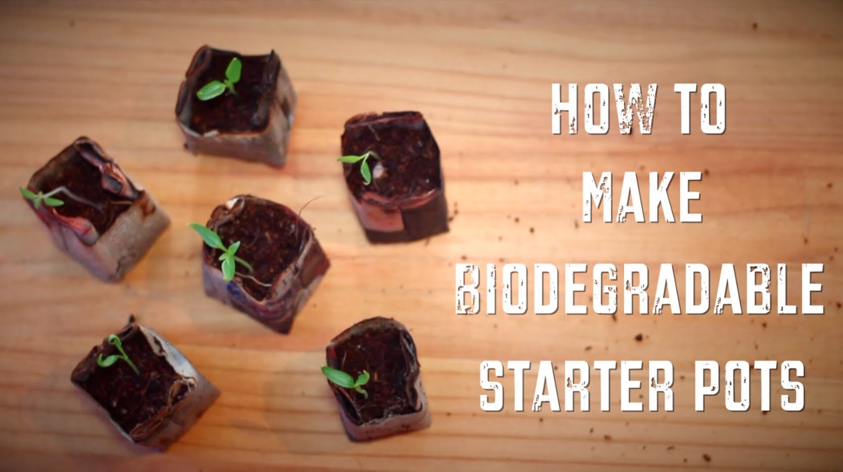 How To Make Biodegradable Plant Pots   Homemade Seed ...