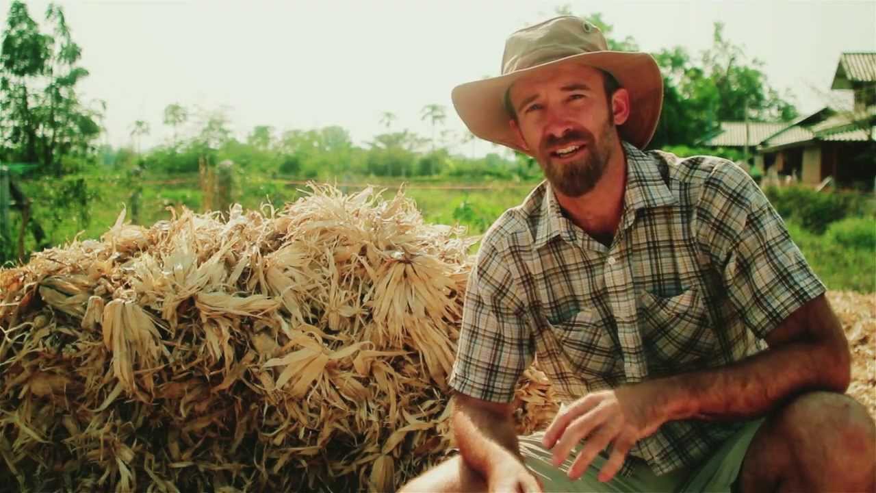 Seeds Of Permaculture – Tropical Permaculture...