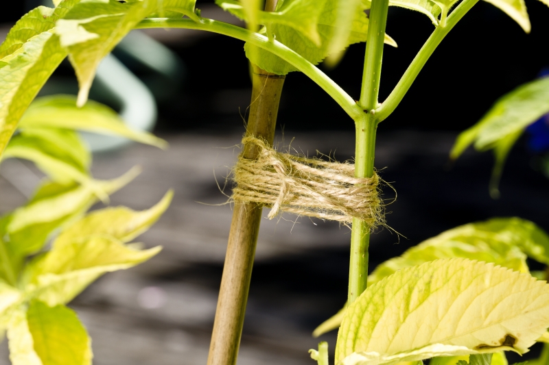 Best Garden Twine & Twist Tie Solutions...