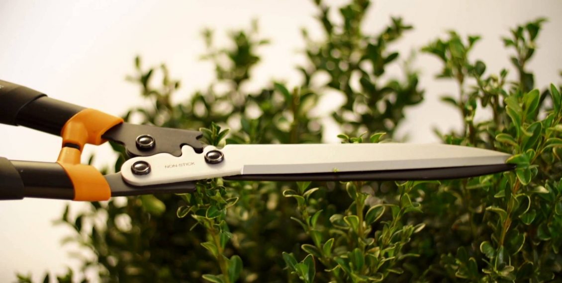 Best Selling Hedge Pruning Shears & Loppers - Reviews...