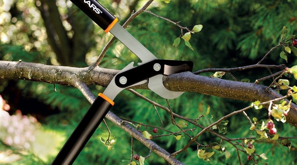 Best Selling Tree Pruning Shears & Loppers - Reviews...