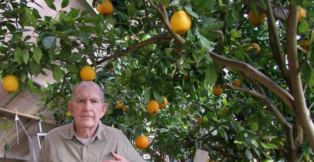 Nebraska Retiree Uses The Earths Heat To Grow Oranges In The Snow