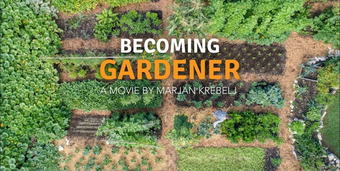 Becoming A Gardener – No Dig Vegetable Garden With A Tiny House...