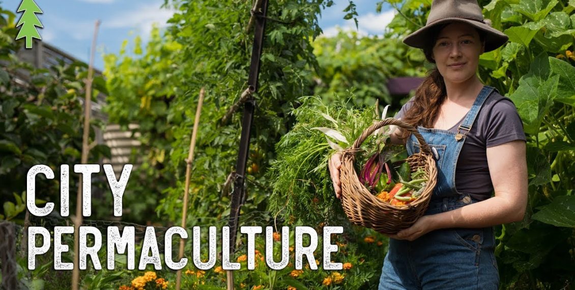 Growing An Abundance Of Food In The City Using Permaculture...