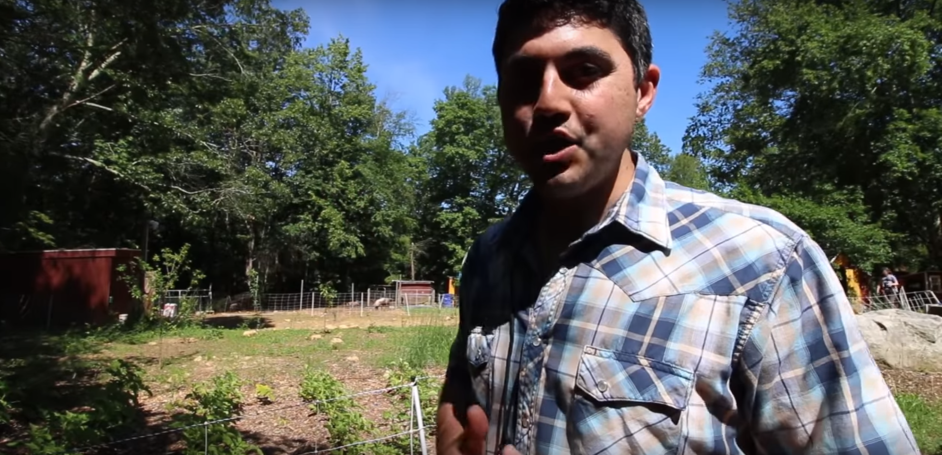 Living Off The Land - Feed Your family From Your Homestead...