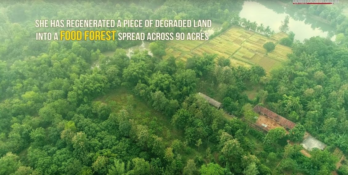 Turning 90 Acres Of Waste Land Into A Food Forest With A Bank Of Traditional Seeds...