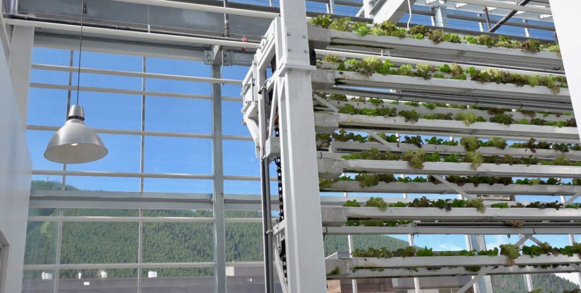 This 1/10th Of An Acre Vertical Farm Grows Produce Equivalent To 10 Acres Of Traditional Farming...