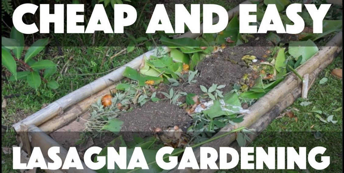 How To Build A No Dig Garden For Free...