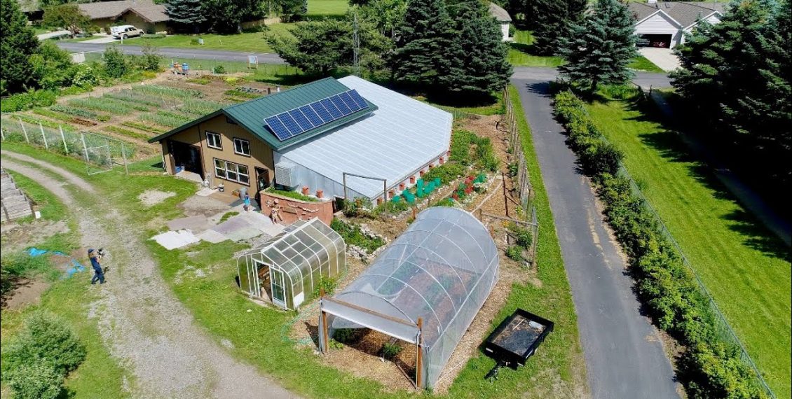 Self-Sufficient Urban Farm And Underground Greenhouse Home Feeds The Community...