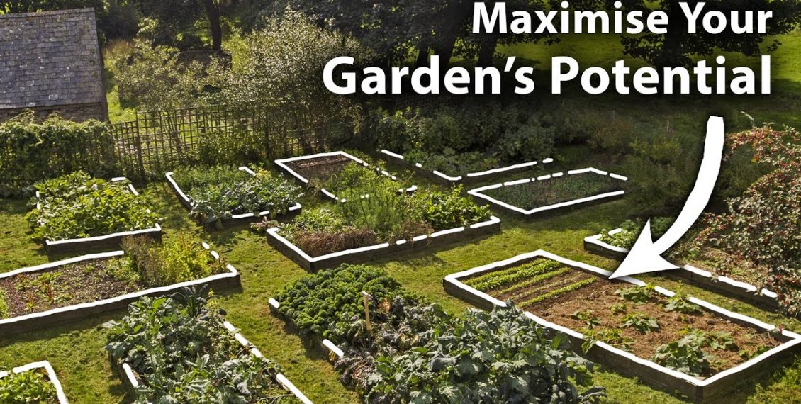 How To Create A Planting Plan For Year-Round Food Abundance...