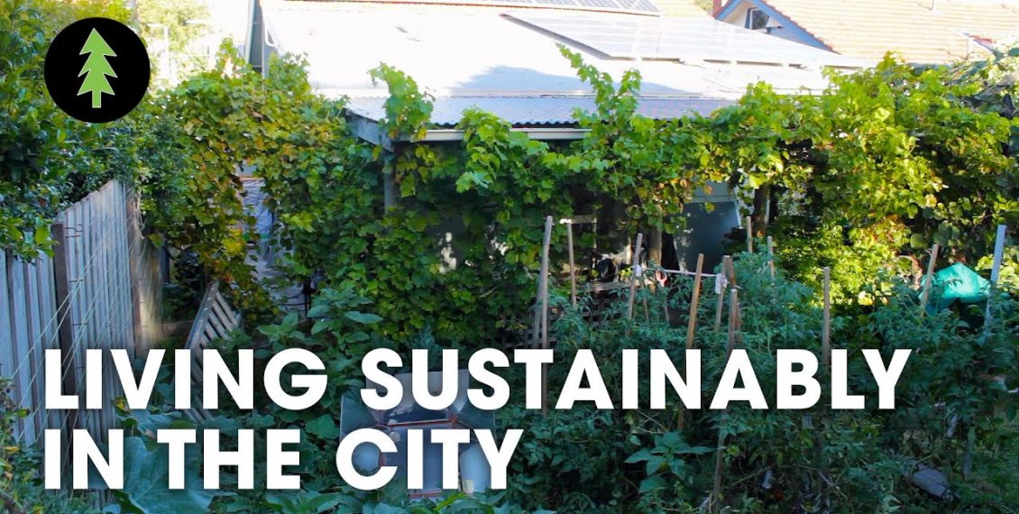 Sustainable City Living On 1/10th Of An Acre...