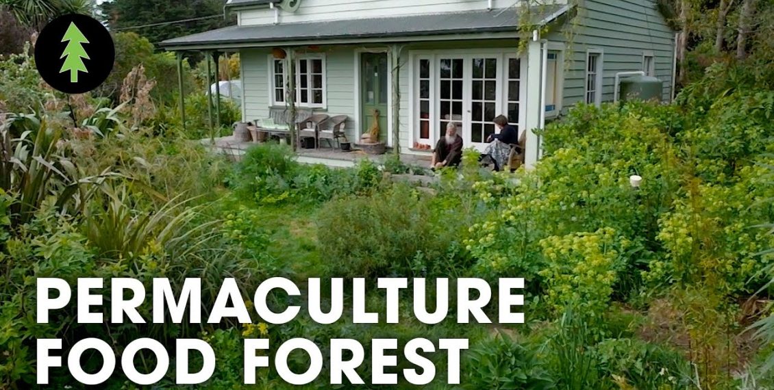 Incredible 1.5-Acre Permaculture Food Forest with Over 250 Plant Species...