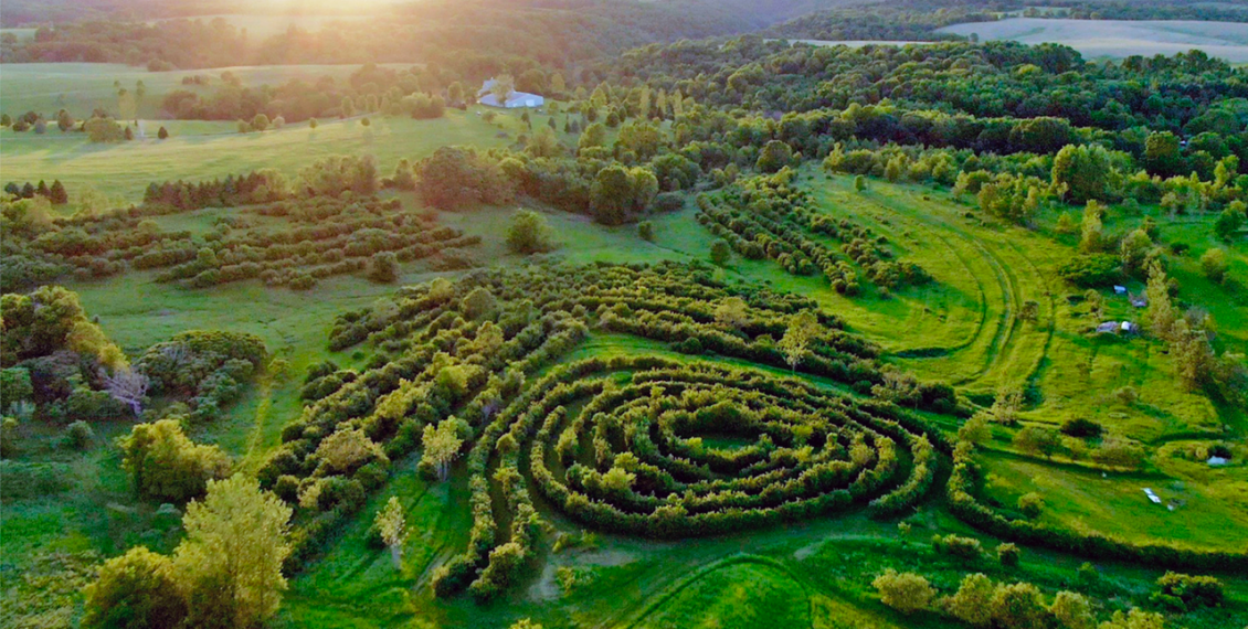 Man Buys Degraded Corn Farm, Plants 250,000 Trees, Turns It Into 0ne Of The Most Productive Perennial Farms In The Country...