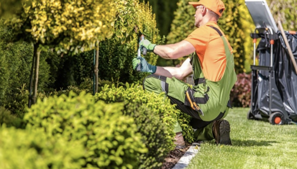 6 Ways To Make Your Landscaping Business Significantly More Eco-Friendly...