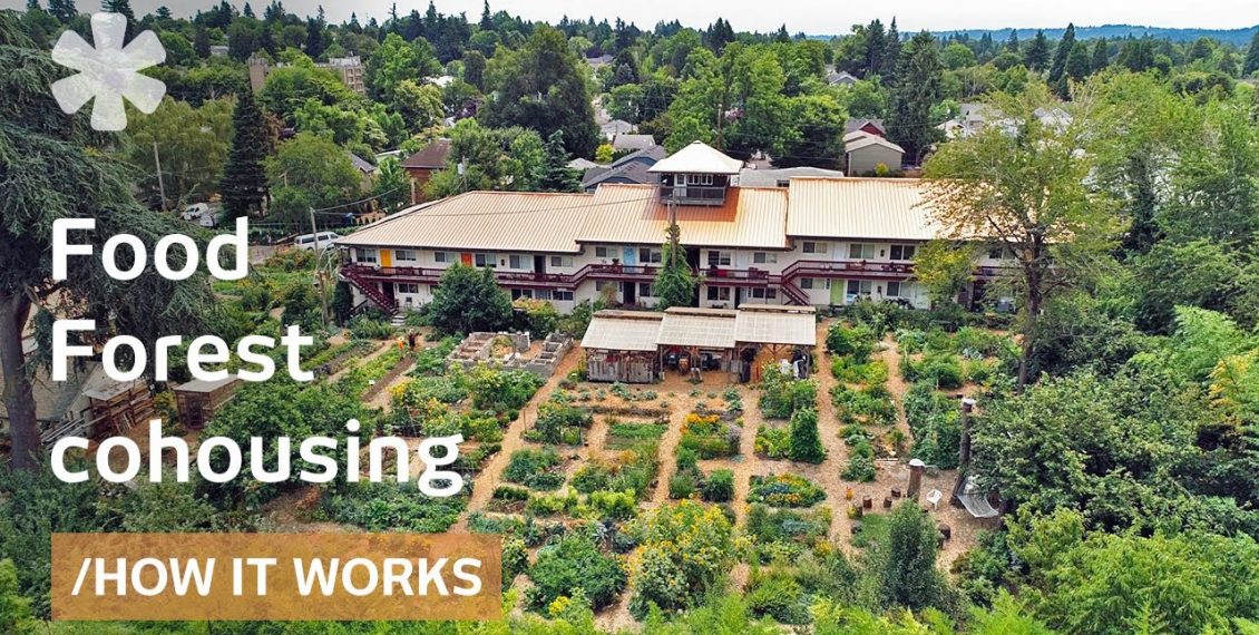 Rundown Apartments Converted Into A Food Forest Ecovillage For 55 Residents...
