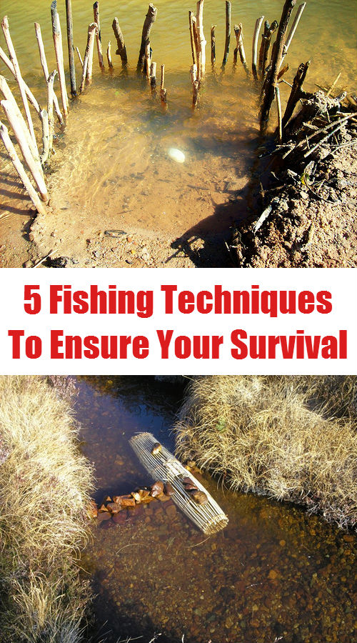 5 Fishing Techniques To Ensure Your Survival...