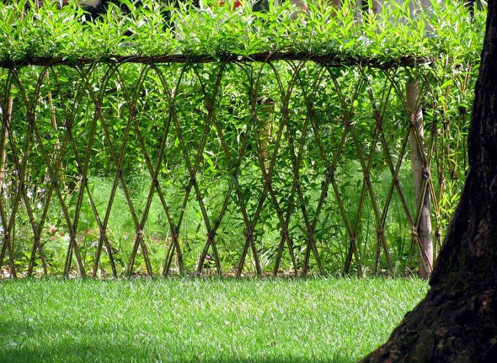 Living Fences – How To Make A Living Fence...