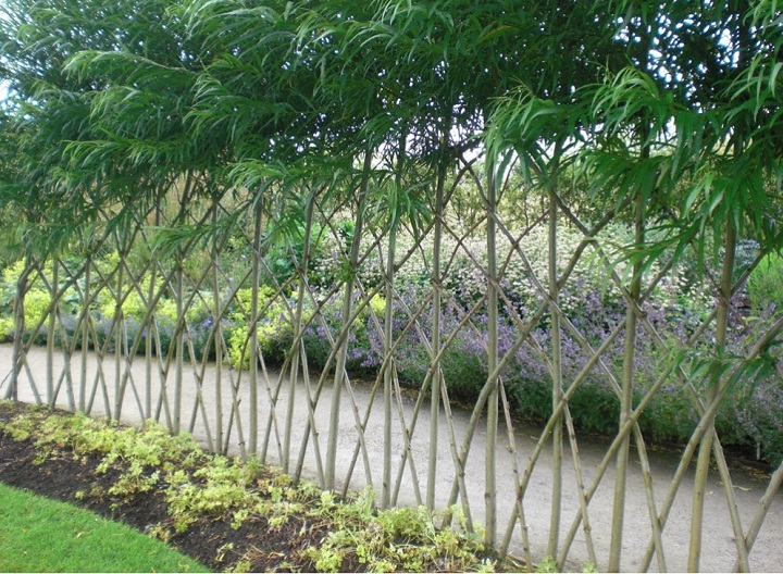 Living Fences – How To Make A Living Fence...