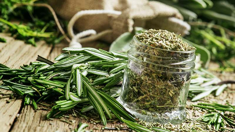 How To Grow Rosemary In Your Garden...