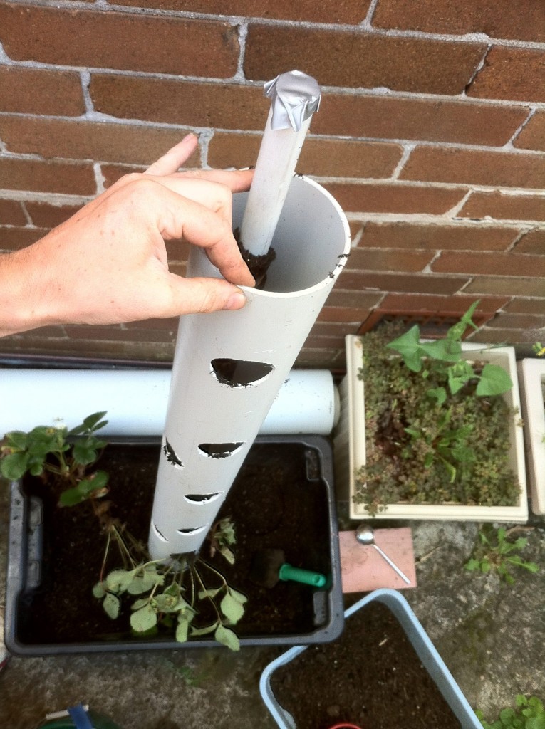 Vertical Gardening Using PVC Piping – Growing Strawberries & Well, Anything...