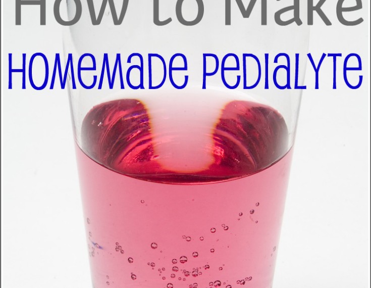 How To Make Homemade Pedialyte Eco Snippets